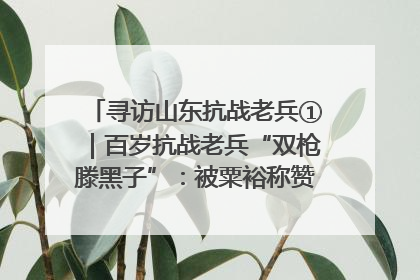 寻访山东抗战老兵①｜百岁抗战老兵“双枪滕黑子”：被粟裕称赞的“孤胆英雄”