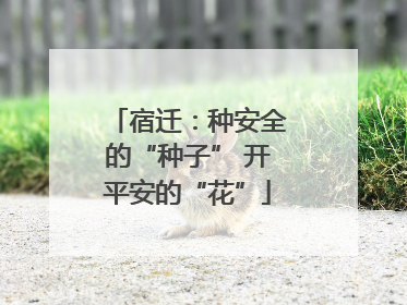 宿迁：种安全的“种子” 开平安的“花”