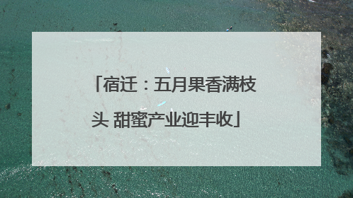 宿迁：五月果香满枝头 甜蜜产业迎丰收