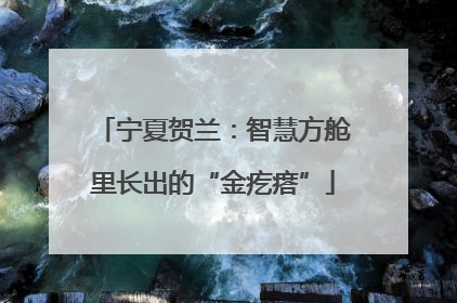 宁夏贺兰：智慧方舱里长出的“金疙瘩”
