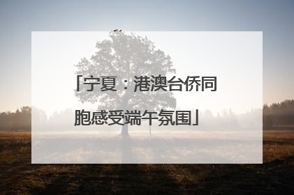 宁夏：港澳台侨同胞感受端午氛围