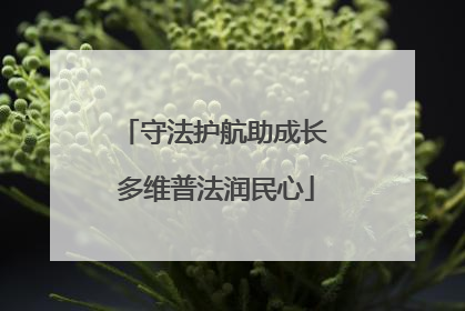 守法护航助成长 多维普法润民心