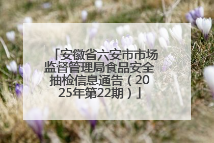 安徽省六安市市场监督管理局食品安全抽检信息通告（2025年第22期）