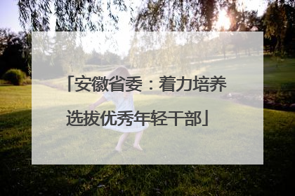 安徽省委：着力培养选拔优秀年轻干部