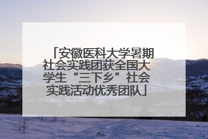 安徽医科大学暑期社会实践团获全国大学生“三下乡”社会实践活动优秀团队