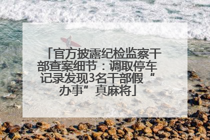 官方披露纪检监察干部查案细节：调取停车记录发现3名干部假“办事”真麻将