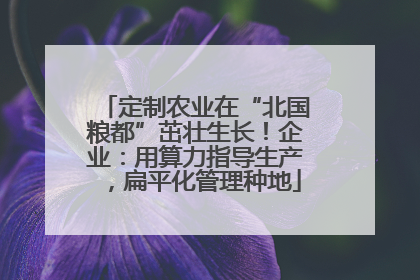 定制农业在“北国粮都”茁壮生长！企业：用算力指导生产，扁平化管理种地