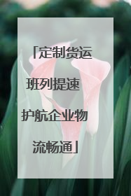 定制货运班列提速 护航企业物流畅通