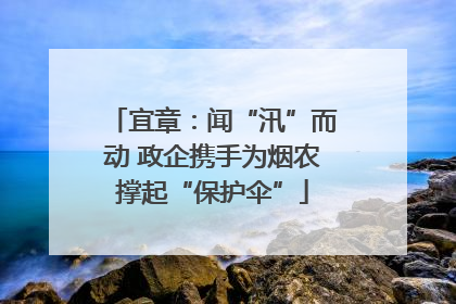 宜章：闻“汛”而动 政企携手为烟农撑起“保护伞”