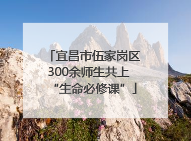 宜昌市伍家岗区300余师生共上“生命必修课”