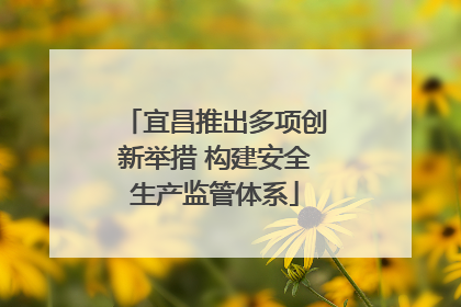宜昌推出多项创新举措 构建安全生产监管体系