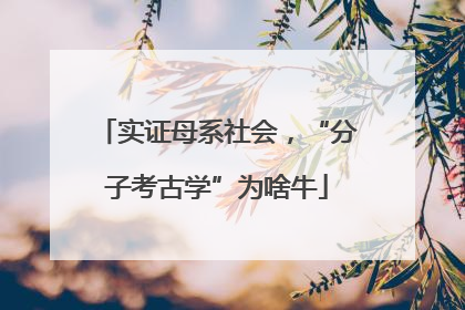 实证母系社会，“分子考古学”为啥牛