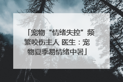 宠物“情绪失控”频繁咬伤主人 医生：宠物夏季易情绪中暑