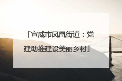 宣威市凤凰街道：党建助推建设美丽乡村