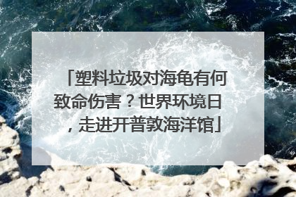 塑料垃圾对海龟有何致命伤害？世界环境日，走进开普敦海洋馆