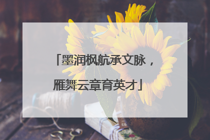 墨润枫航承文脉，雁舞云章育英才