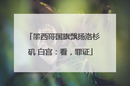 墨西哥国旗飘扬洛杉矶 白宫：看，罪证