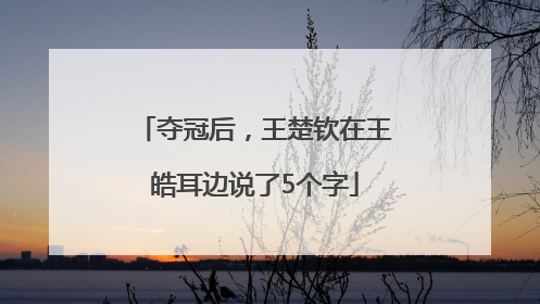 夺冠后，王楚钦在王皓耳边说了5个字