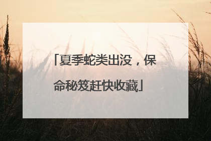 夏季蛇类出没，保命秘笈赶快收藏