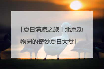 夏日清凉之旅丨北京动物园的奇妙夏日大赏