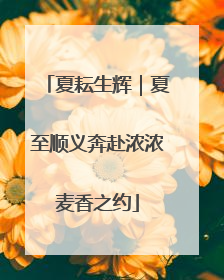夏耘生辉｜夏至顺义奔赴浓浓麦香之约