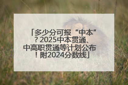 多少分可报“中本”？2025中本贯通、中高职贯通等计划公布！附2024分数线