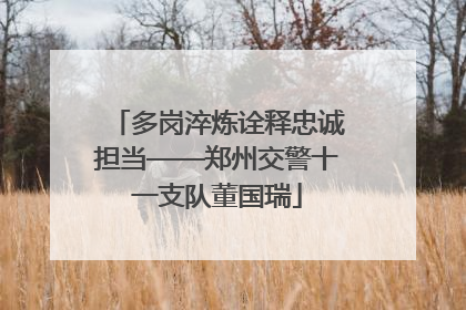 多岗淬炼诠释忠诚担当——郑州交警十一支队董国瑞