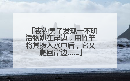 夜钓男子发现一不明活物趴在岸边，用竹竿将其拨入水中后，它又爬回岸边……