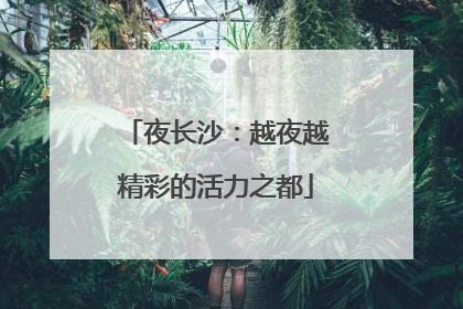 夜长沙：越夜越精彩的活力之都