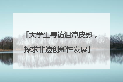 大学生寻访沮漳皮影，探求非遗创新性发展
