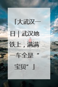 大武汉一日｜武汉地铁上，满满一车全是“宝贝”
