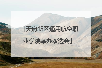 天府新区通用航空职业学院举办双选会