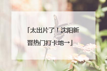 太出片了！沈阳新晋热门打卡地→
