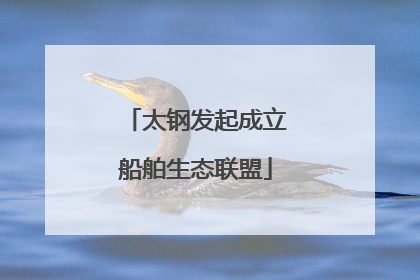 太钢发起成立船舶生态联盟