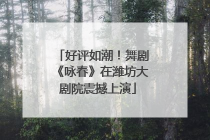 好评如潮！舞剧《咏春》在潍坊大剧院震撼上演