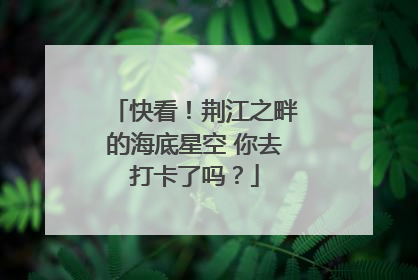 快看！荆江之畔的海底星空 你去打卡了吗？