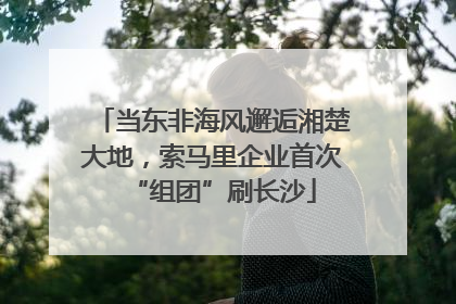 当东非海风邂逅湘楚大地，索马里企业首次“组团”刷长沙