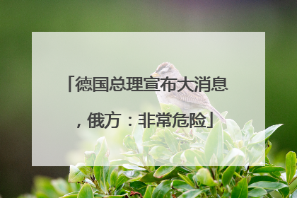 德国总理宣布大消息，俄方：非常危险