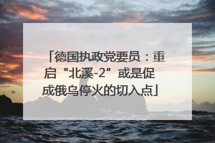 德国执政党要员：重启“北溪-2”或是促成俄乌停火的切入点