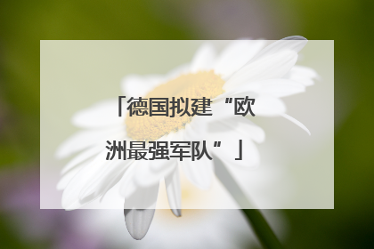 德国拟建“欧洲最强军队”