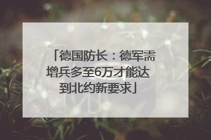 德国防长：德军需增兵多至6万才能达到北约新要求