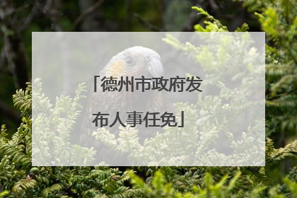 德州市政府发布人事任免