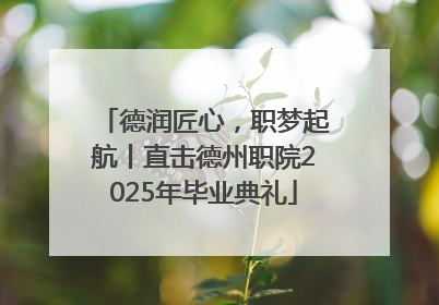 德润匠心，职梦起航丨直击德州职院2025年毕业典礼
