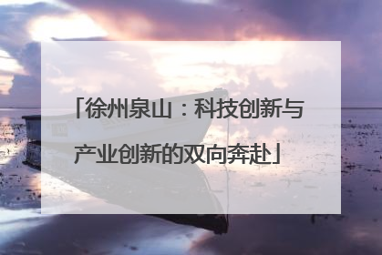 徐州泉山：科技创新与产业创新的双向奔赴