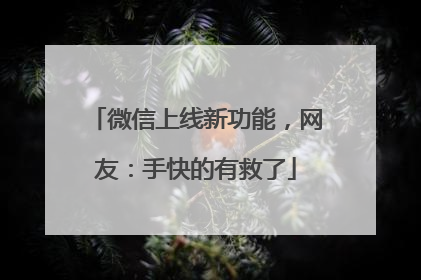 微信上线新功能，网友：手快的有救了