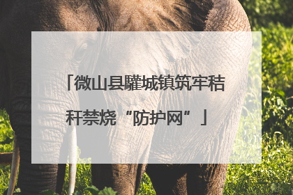 微山县驩城镇筑牢秸秆禁烧“防护网”
