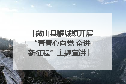 微山县驩城镇开展“青春心向党 奋进新征程”主题宣讲