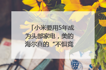 小米要用5年成为头部家电，美的海尔真的“不惧竞争”？｜热财经