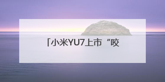 小米YU7上市“咬定”特斯拉Model Y，智界闻风降价