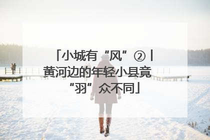 小城有“风”②丨黄河边的年轻小县竟“羽”众不同